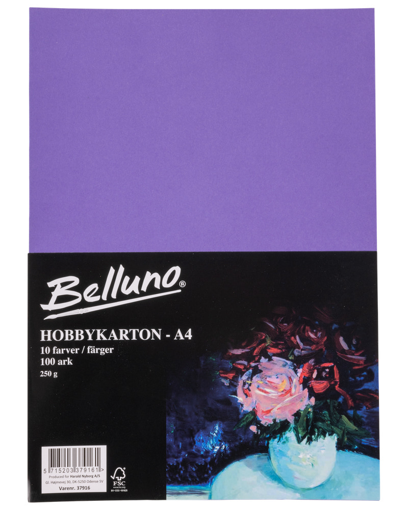 Belluno Hobby kartong original 100 ark - 250 g