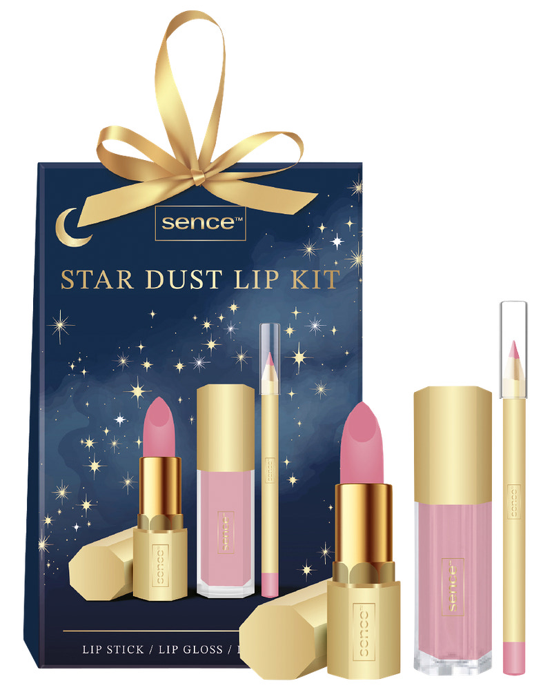 Presentkit Star Dust lip kit 