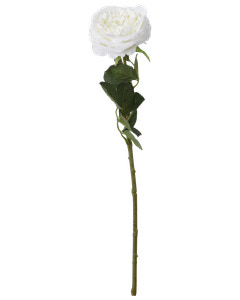 Rose 63 cm - assorterede farver