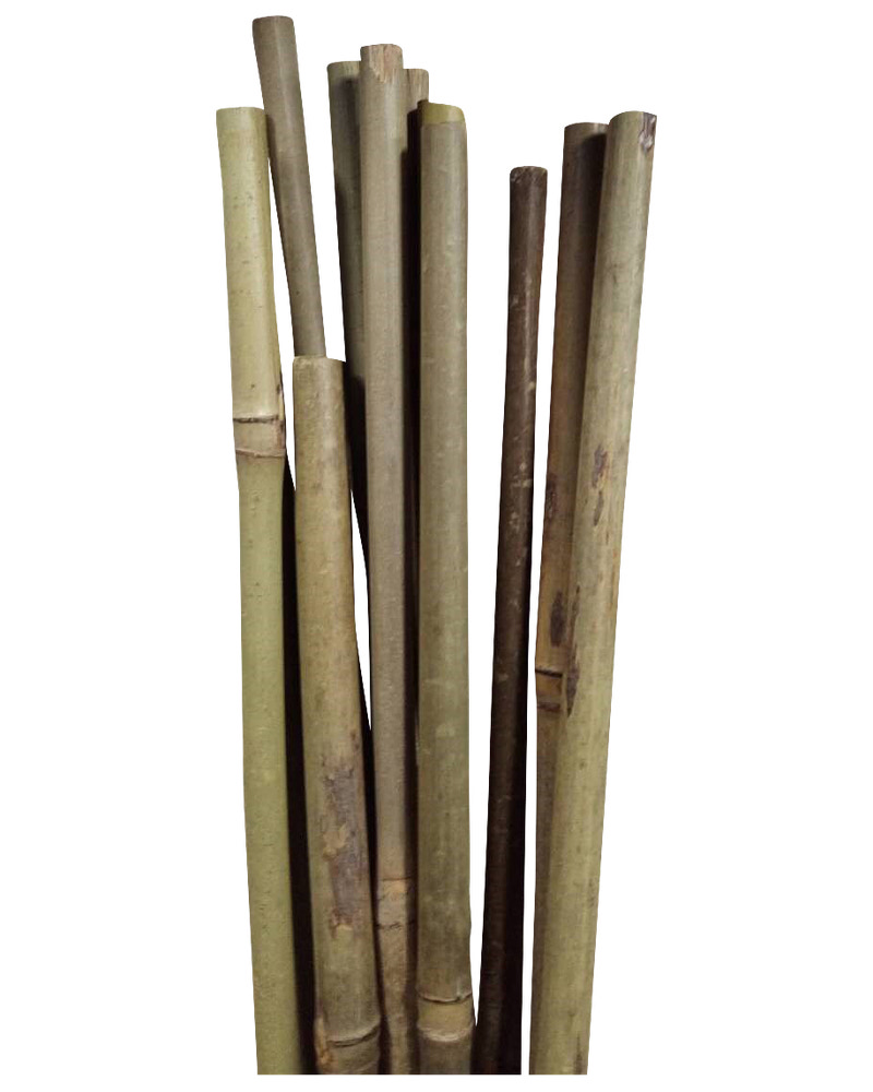 Blompinne bambu 90 cm 4-pack