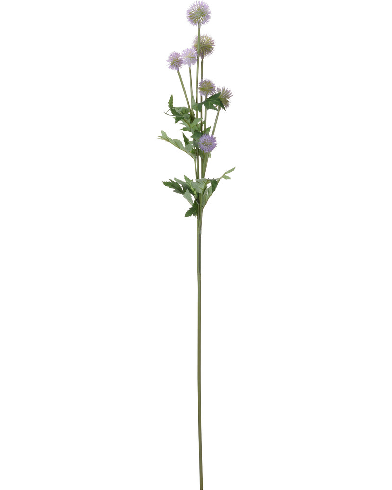 Tidselblomst 89 cm - assorterede farver