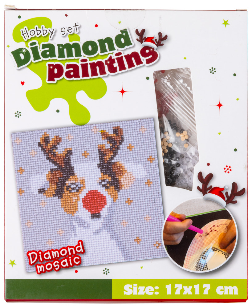 DIAMOND PAININT 17X17 CM JUL