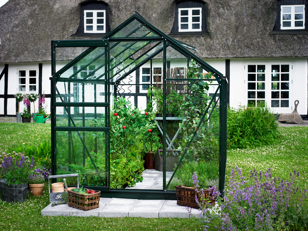 Halls Drivhus Popular 106 hærdet glas og fundament - sort