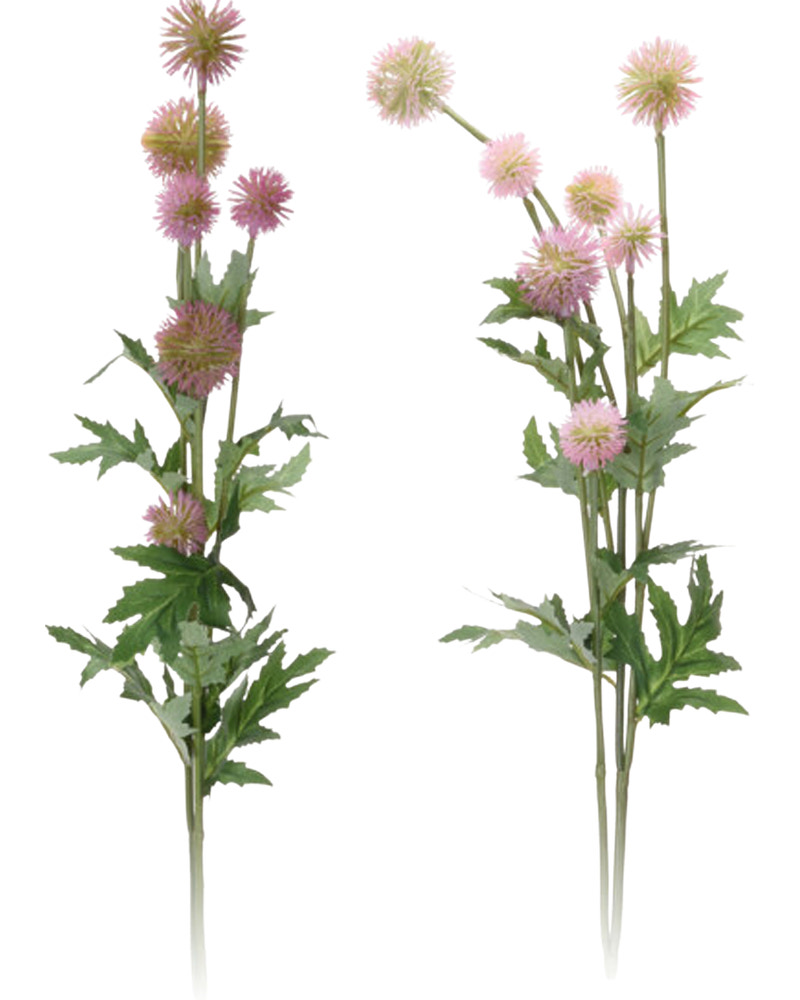 Tidselblomst 89 cm - assorterede farver